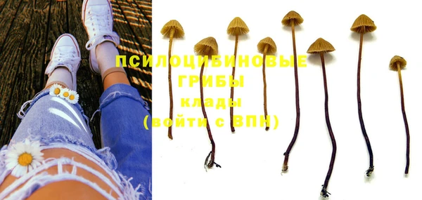 кокс Гусев