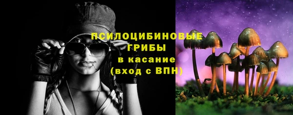 марки nbome Гусь-Хрустальный