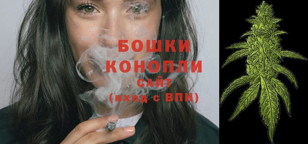 дживик Гусиноозёрск