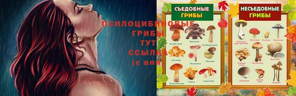 марки nbome Гусь-Хрустальный
